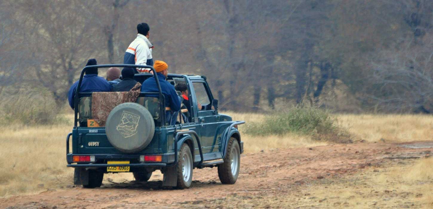 Jeep Safari at Ranthambore